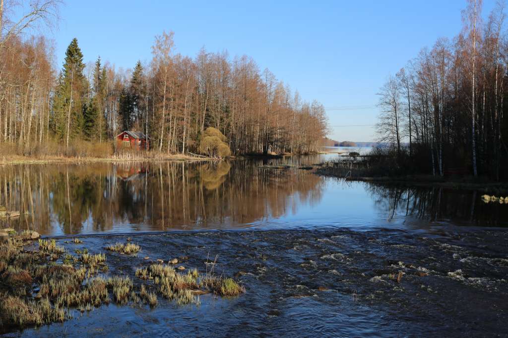 Sääksjärvi Kalastus