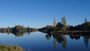 Tyynen jokimaiseman takana metsää.