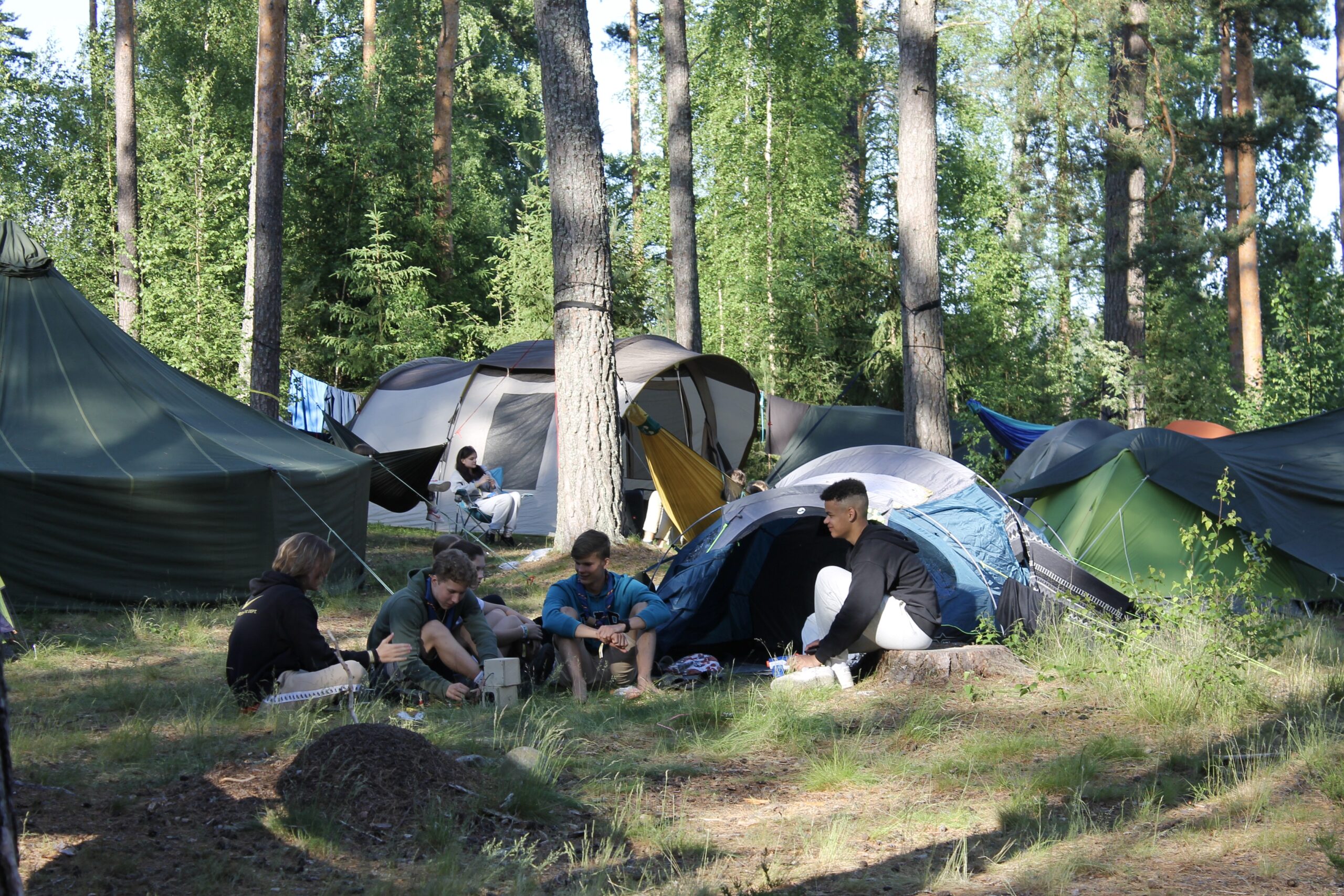 Sini-harmaita telttoja mäntymetsässä. Aurinkoinen päivä. Telttojen edessä istuu ihmisiä, jota juttelevat keskenään rennon oloisesti.